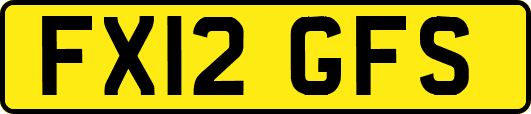 FX12GFS