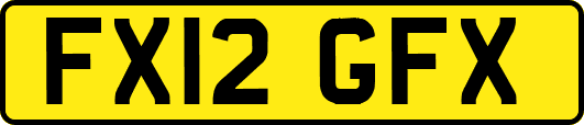 FX12GFX