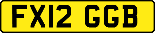 FX12GGB