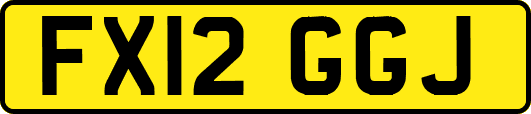 FX12GGJ