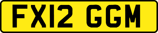 FX12GGM