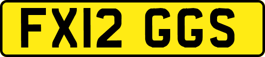 FX12GGS