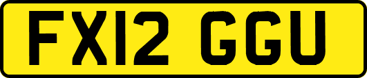 FX12GGU