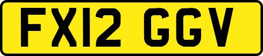 FX12GGV