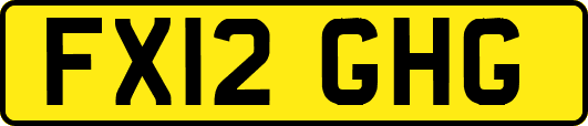 FX12GHG