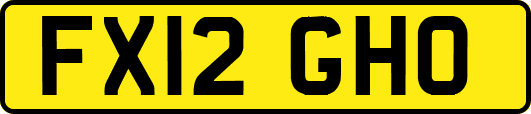 FX12GHO