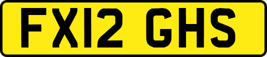 FX12GHS