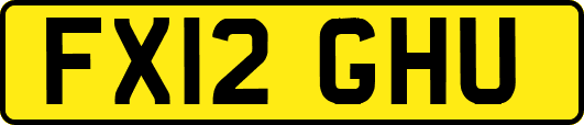 FX12GHU