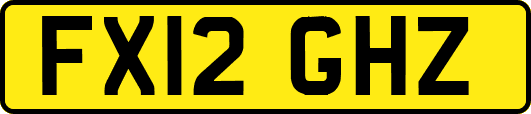 FX12GHZ