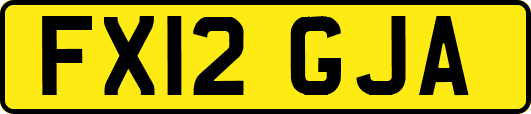 FX12GJA