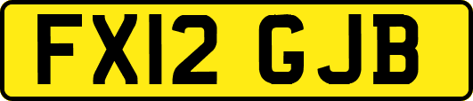 FX12GJB