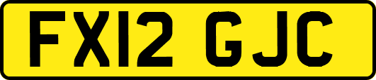 FX12GJC