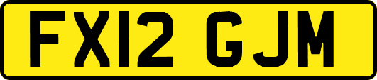 FX12GJM