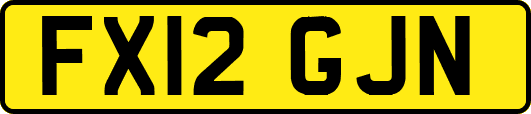 FX12GJN