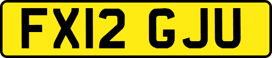 FX12GJU