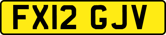 FX12GJV