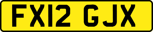 FX12GJX