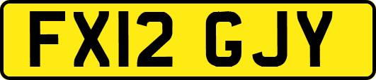 FX12GJY