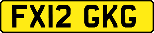 FX12GKG