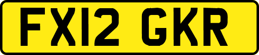 FX12GKR