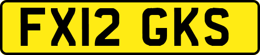 FX12GKS