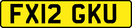 FX12GKU