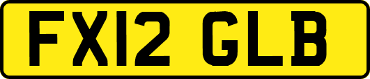 FX12GLB