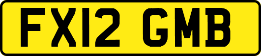 FX12GMB