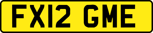 FX12GME
