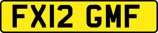 FX12GMF