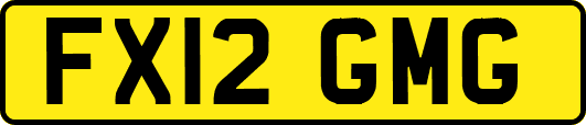 FX12GMG