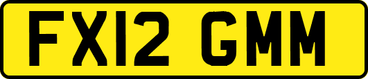 FX12GMM
