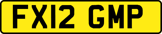 FX12GMP