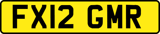 FX12GMR