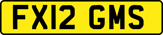 FX12GMS