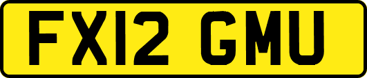 FX12GMU