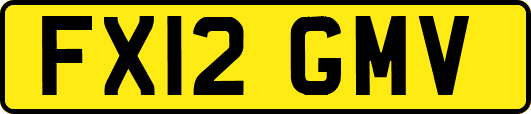 FX12GMV