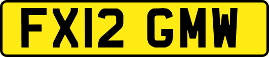 FX12GMW