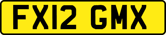 FX12GMX