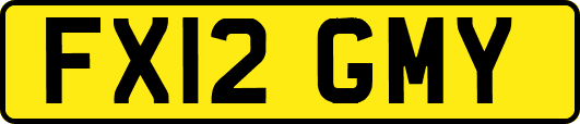 FX12GMY