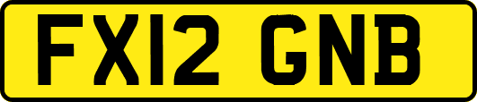 FX12GNB