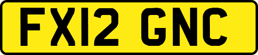 FX12GNC