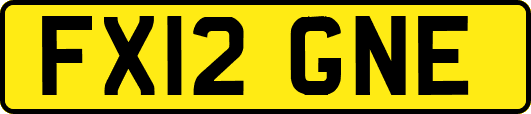 FX12GNE