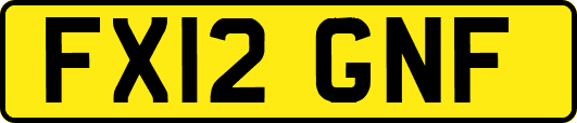 FX12GNF