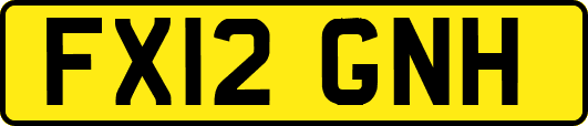 FX12GNH
