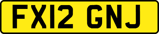 FX12GNJ