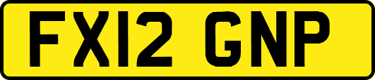 FX12GNP
