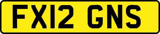 FX12GNS