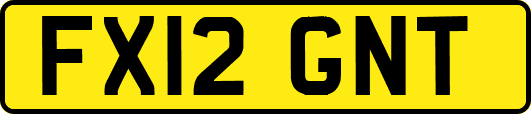 FX12GNT