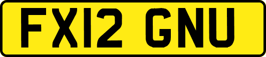 FX12GNU